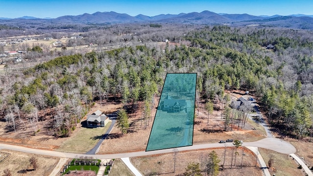 drone / aerial view with a mountain view