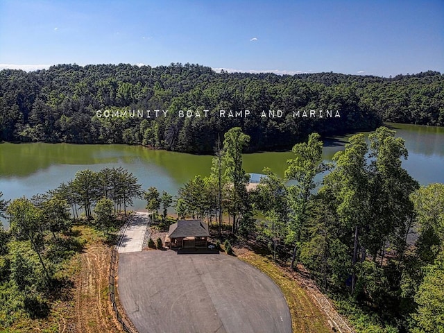 bird's eye view with a forest view and a water view