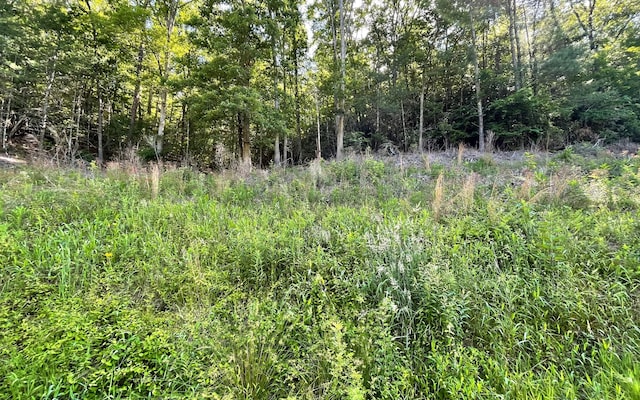 Listing photo 2 for LOT2 Fires Creek Rd, Hayesville NC 28904