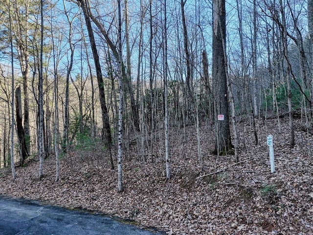 Listing photo 3 for LOT27 Highland Fls, Blairsville GA 30512