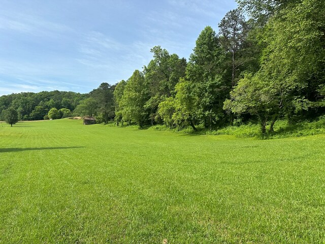 Listing photo 2 for LOT43 Prosperity Dr, Warne NC 28909