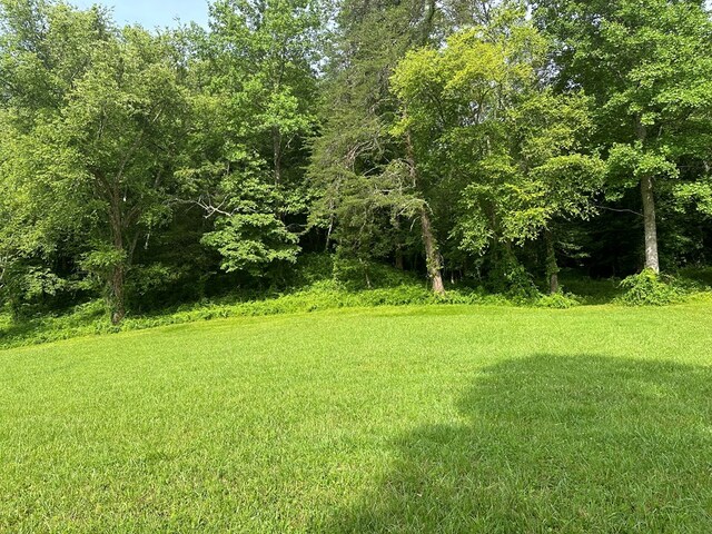 Listing photo 3 for LOT43 Prosperity Dr, Warne NC 28909