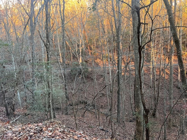 Listing photo 2 for LOT319 Riverview Dr, Ellijay GA 30540