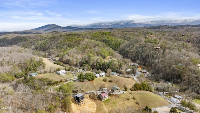 aerial view featuring a mountain view and a view of trees