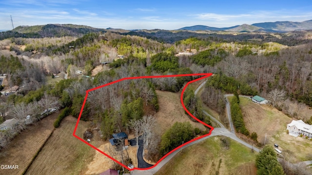 drone / aerial view with a wooded view and a mountain view