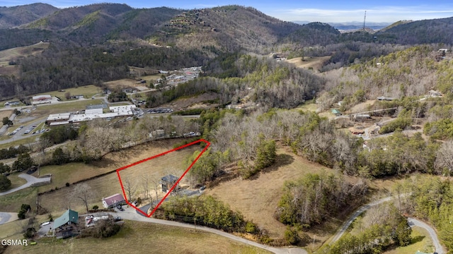 birds eye view of property featuring a forest view and a mountain view