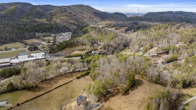 bird's eye view with a forest view and a mountain view