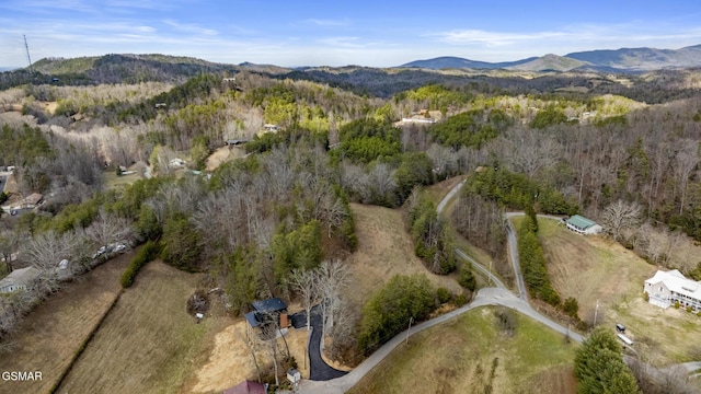 bird's eye view with a wooded view and a mountain view