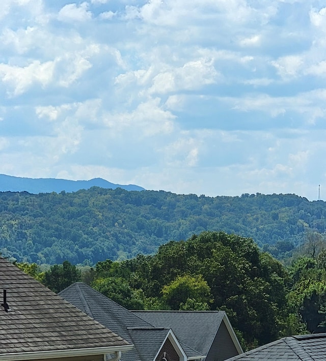2749 Vista Meadows Ln, Sevierville, TN 37876 - photo 25