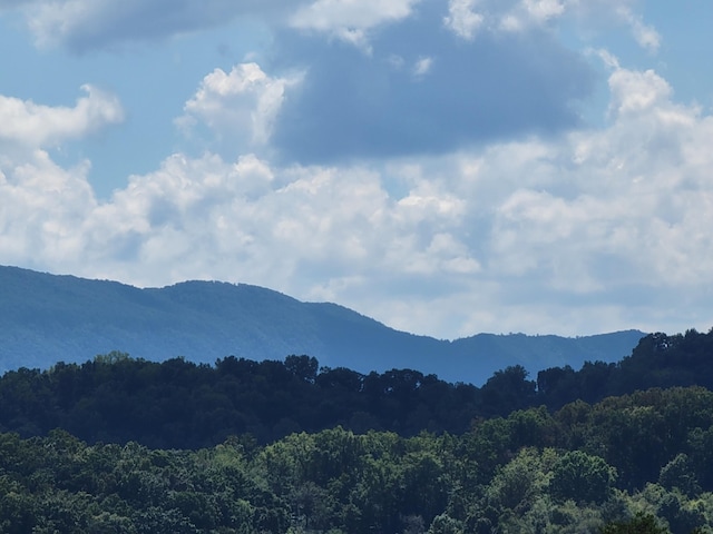 2749 Vista Meadows Ln, Sevierville, TN 37876 - photo 26