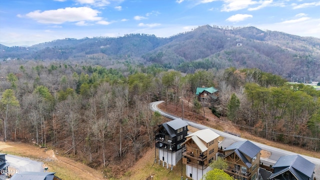 birds eye view of property featuring a mountain view