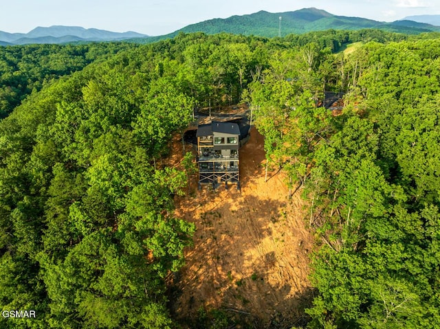 3819 Heavens View Ln, Sevierville, TN 37876 - photo 90