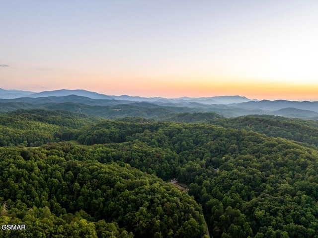 3819 Heavens View Ln, Sevierville, TN 37876 - photo 81