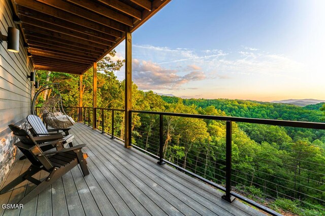 3819 Heavens View Ln, Sevierville, TN 37876 - photo 40