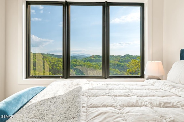 3819 Heavens View Ln, Sevierville, TN 37876 - photo 53