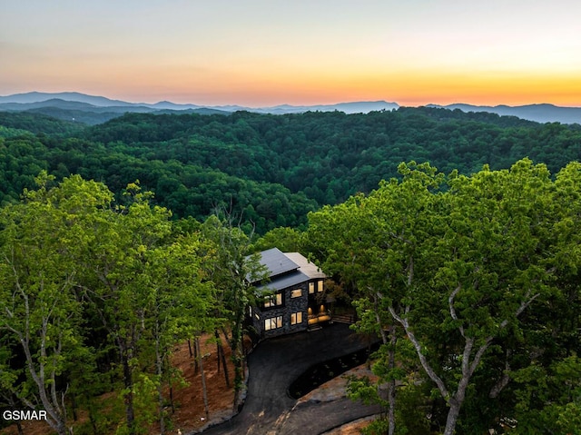 3819 Heavens View Ln, Sevierville, TN 37876 - photo 84