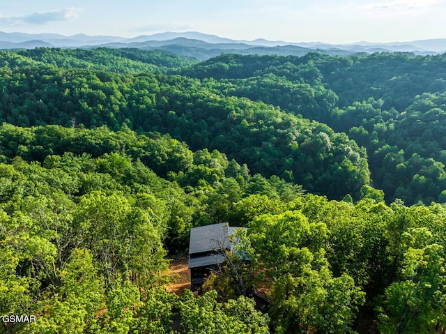 3819 Heavens View Ln, Sevierville, TN 37876 - photo 88