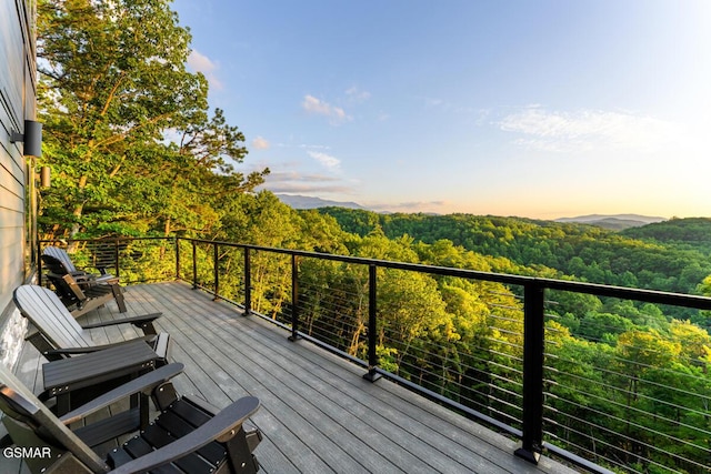 3819 Heavens View Ln, Sevierville, TN 37876 - photo 41