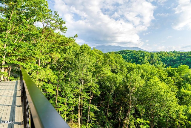 3819 Heavens View Ln, Sevierville, TN 37876 - photo 39