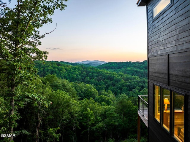 3819 Heavens View Ln, Sevierville, TN 37876 - photo 83