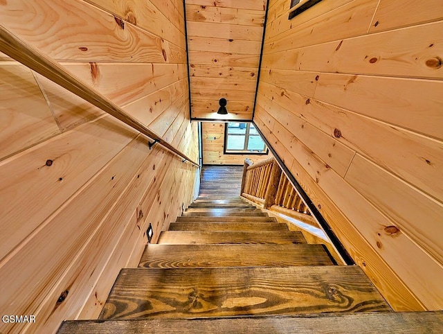 stairway featuring wooden walls and hardwood / wood-style floors