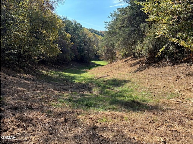 view of wooded area
