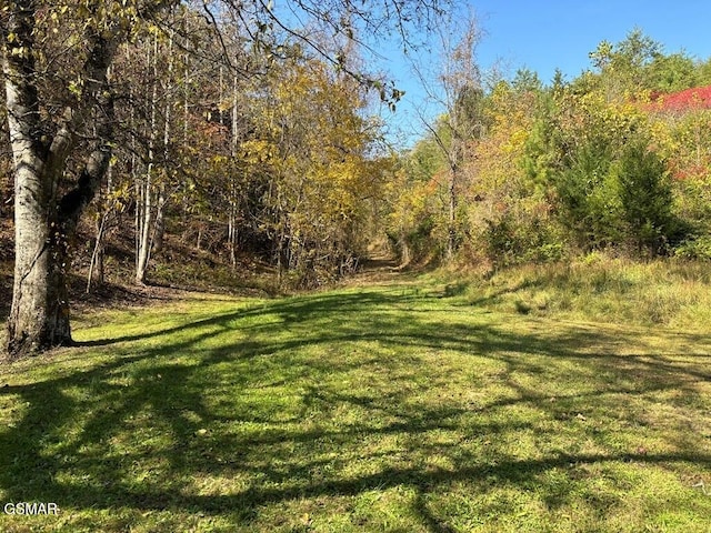 view of green lawn with a forest view
