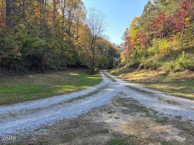 view of road with a view of trees