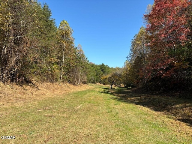 view of grassy yard featuring a wooded view