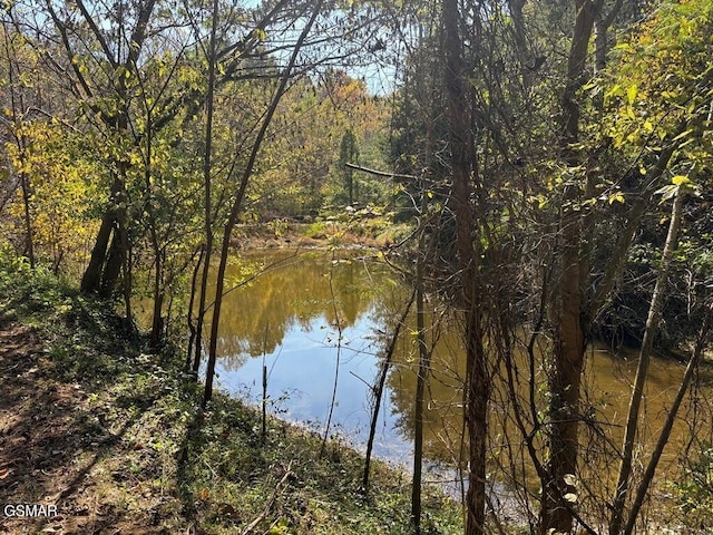 water view featuring a heavily wooded area