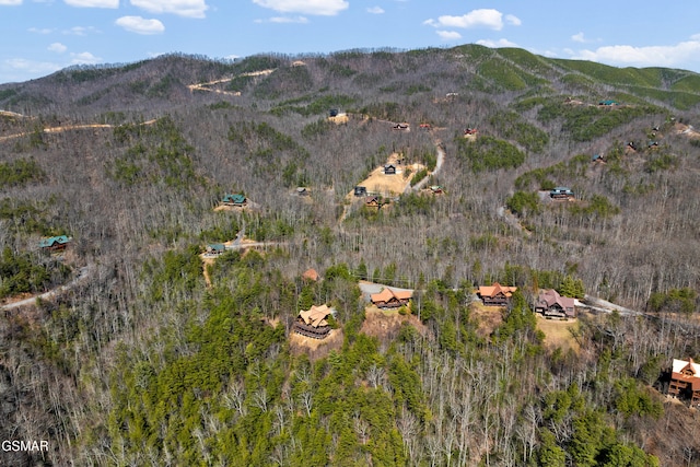 aerial view featuring a mountain view