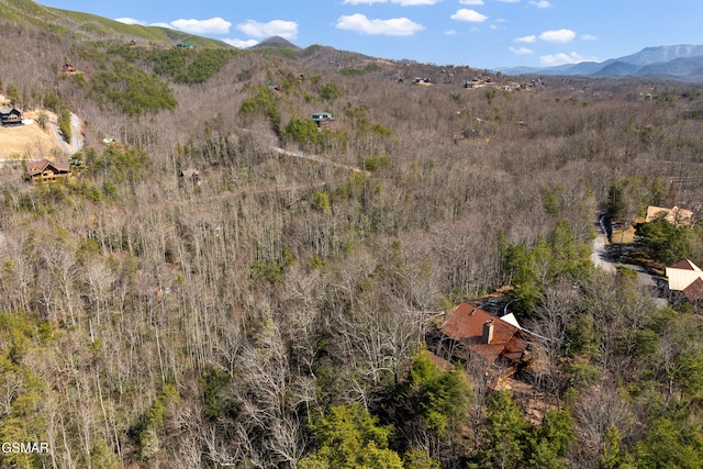 exterior space featuring a mountain view