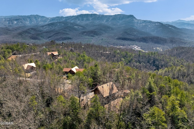 view of mountain feature featuring a forest view