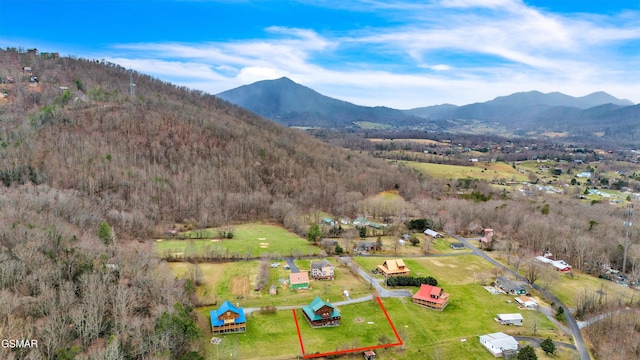 birds eye view of property featuring a mountain view