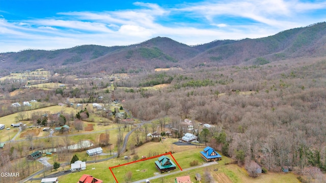 birds eye view of property with a mountain view