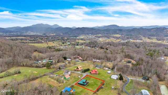 birds eye view of property with a mountain view