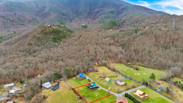 birds eye view of property with a mountain view and a forest view