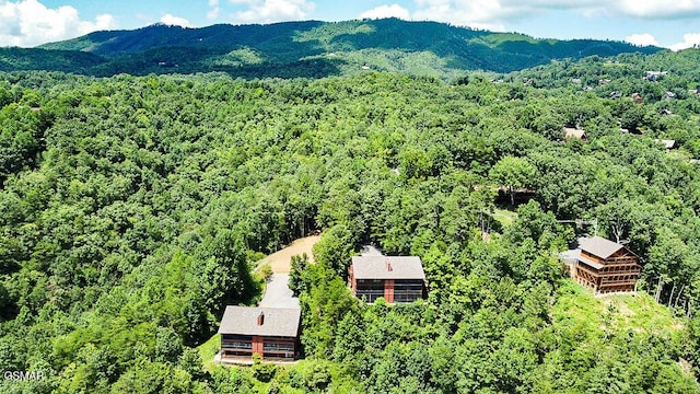 429 Deer Path Ln Unit 106, Gatlinburg, TN 37738 - photo 33