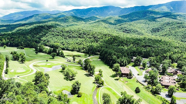 429 Deer Path Ln Unit 106, Gatlinburg, TN 37738 - photo 35