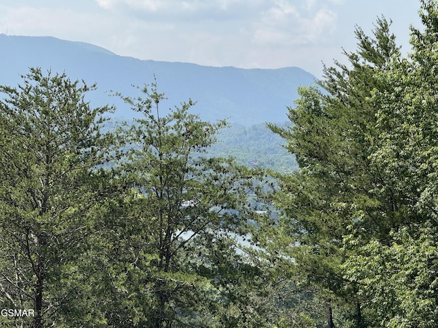 2452 Skyview Way, Dandridge, TN 37725 - view of mountain background