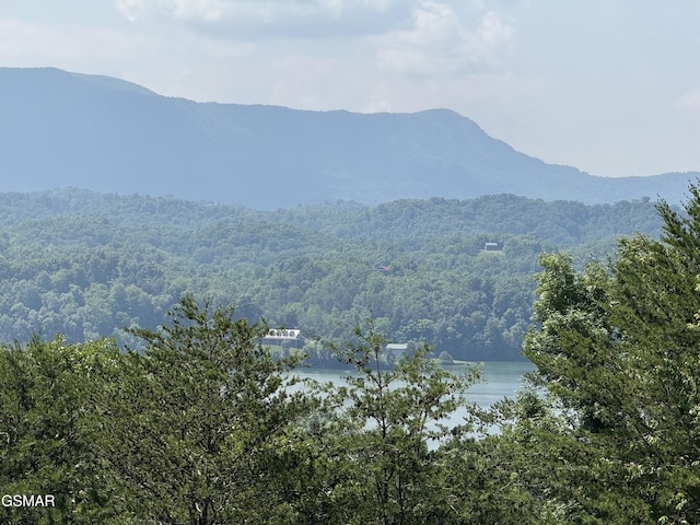 2452 Skyview Way, Dandridge, TN 37725 - view of mountain backdrop with a large body of water and a forest