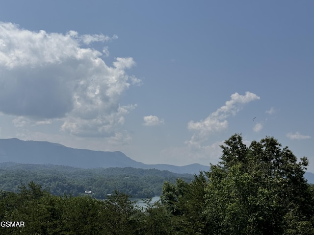 2452 Skyview Way, Dandridge, TN 37725 - view of mountain backdrop featuring a forest