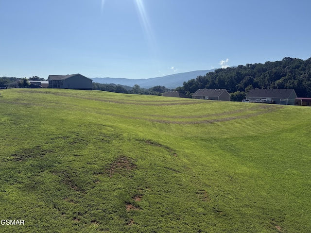 3018 Easy Going Ln, Newport, TN 37821 - photo 48
