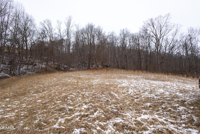 0 Little Sycamore Rd, Tazewell TN, 37879 land for sale