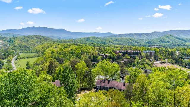 drone / aerial view with a mountain view