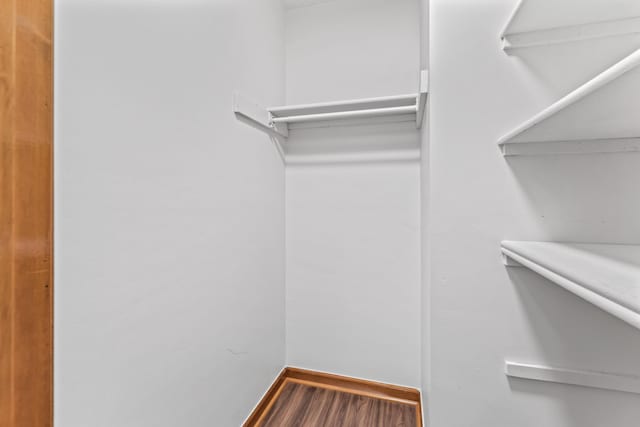 spacious closet featuring hardwood / wood-style flooring