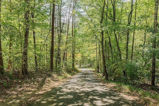 view of street featuring a wooded view