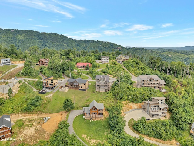 523 Greenbriar Ln, Gatlinburg, TN 37738 - photo 41