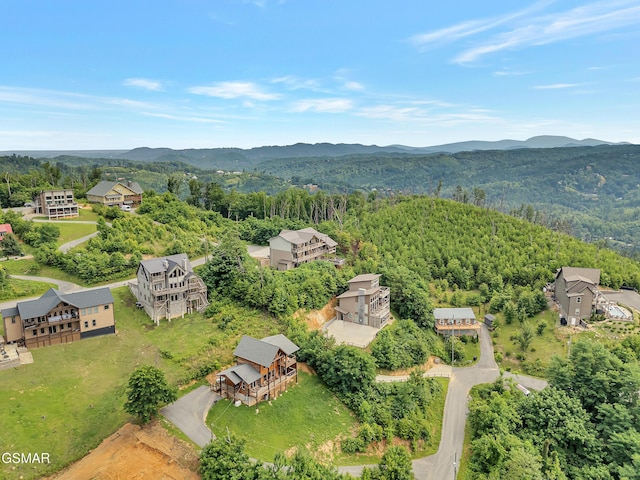 523 Greenbriar Ln, Gatlinburg, TN 37738 - photo 40