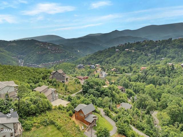 523 Greenbriar Ln, Gatlinburg, TN 37738 - photo 38